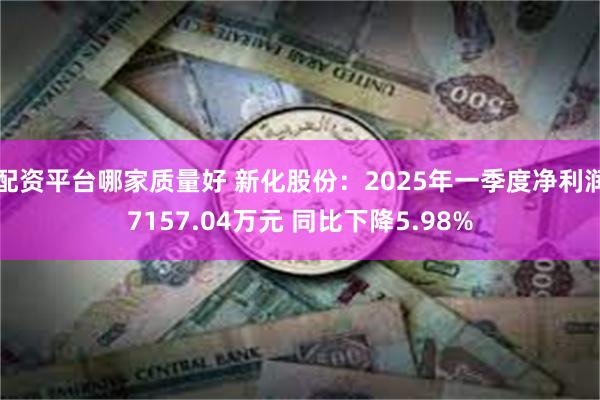 配资平台哪家质量好 新化股份：2025年一季度净利润7157.04万元 同比下降5.98%