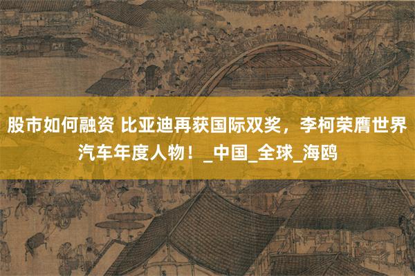 股市如何融资 比亚迪再获国际双奖，李柯荣膺世界汽车年度人物！_中国_全球_海鸥