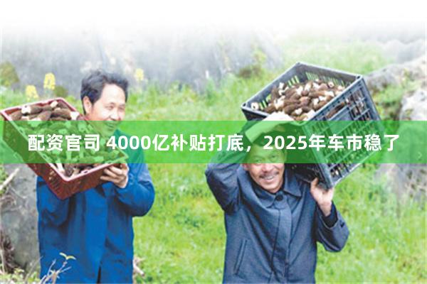 配资官司 4000亿补贴打底，2025年车市稳了