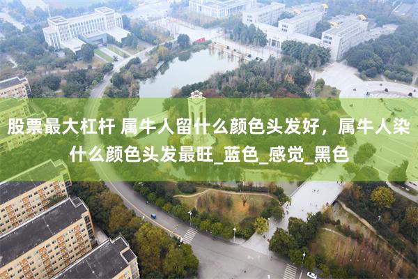 股票最大杠杆 属牛人留什么颜色头发好，属牛人染什么颜色头发最旺_蓝色_感觉_黑色