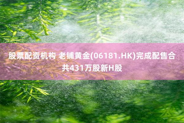 股票配资机构 老铺黄金(06181.HK)完成配售合共431万股新H股