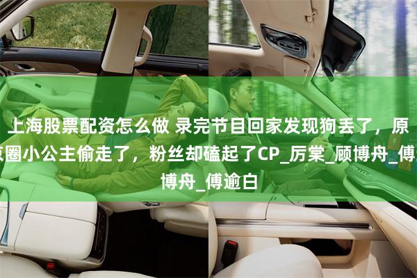 上海股票配资怎么做 录完节目回家发现狗丢了，原来京圈小公主偷走了，粉丝却磕起了CP_厉棠_顾博舟_傅逾白
