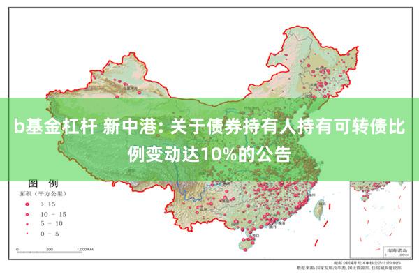 b基金杠杆 新中港: 关于债券持有人持有可转债比例变动达10%的公告